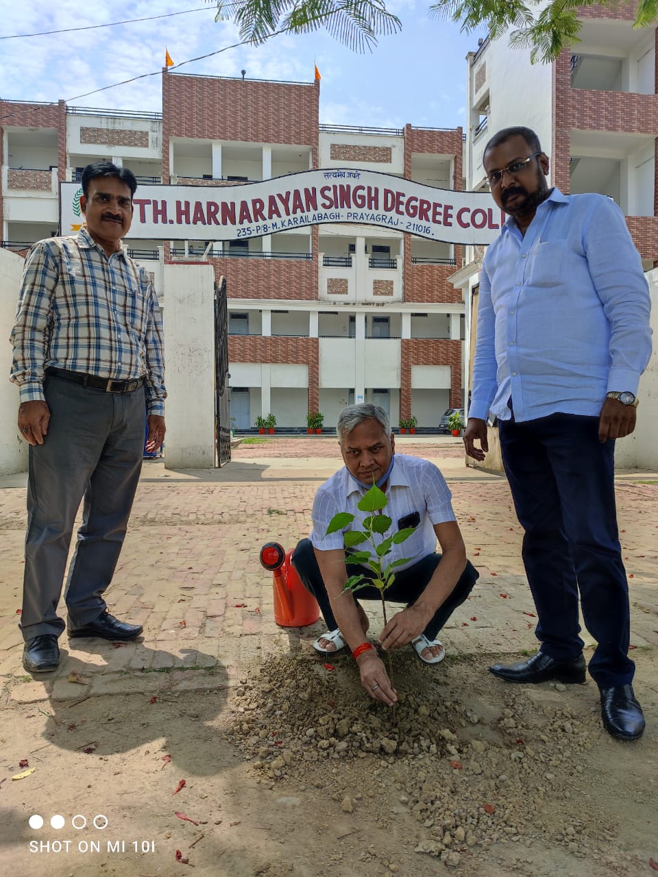 TREE PLANTATION